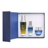 The Radiance Collection